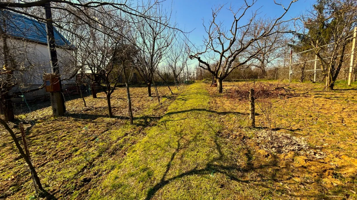 Telek Nyírpazony-Liszkai zártkertben 1. kép