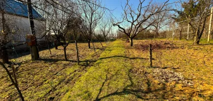 Telek Nyírpazony-Liszkai zártkertben