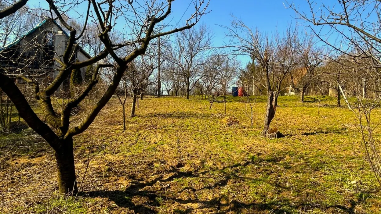 Telek Nyírpazony-Liszkai zártkertben 4. kép