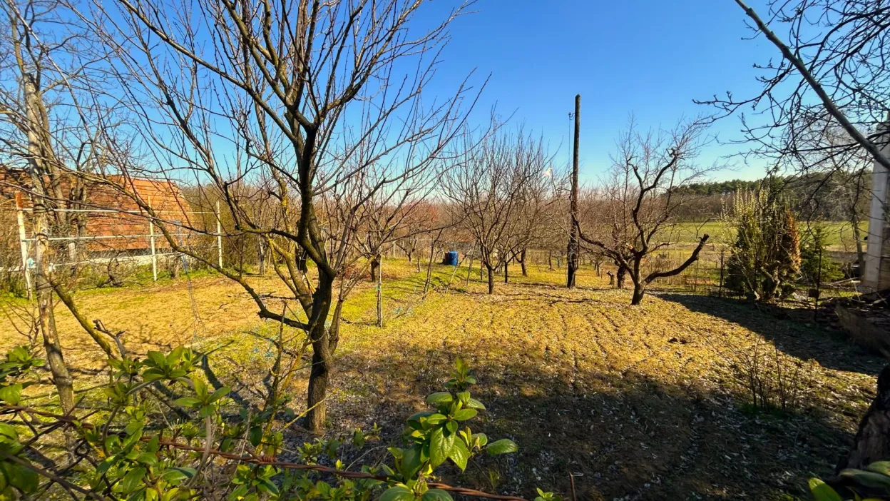 Telek Nyírpazony-Liszkai zártkertben 6. kép