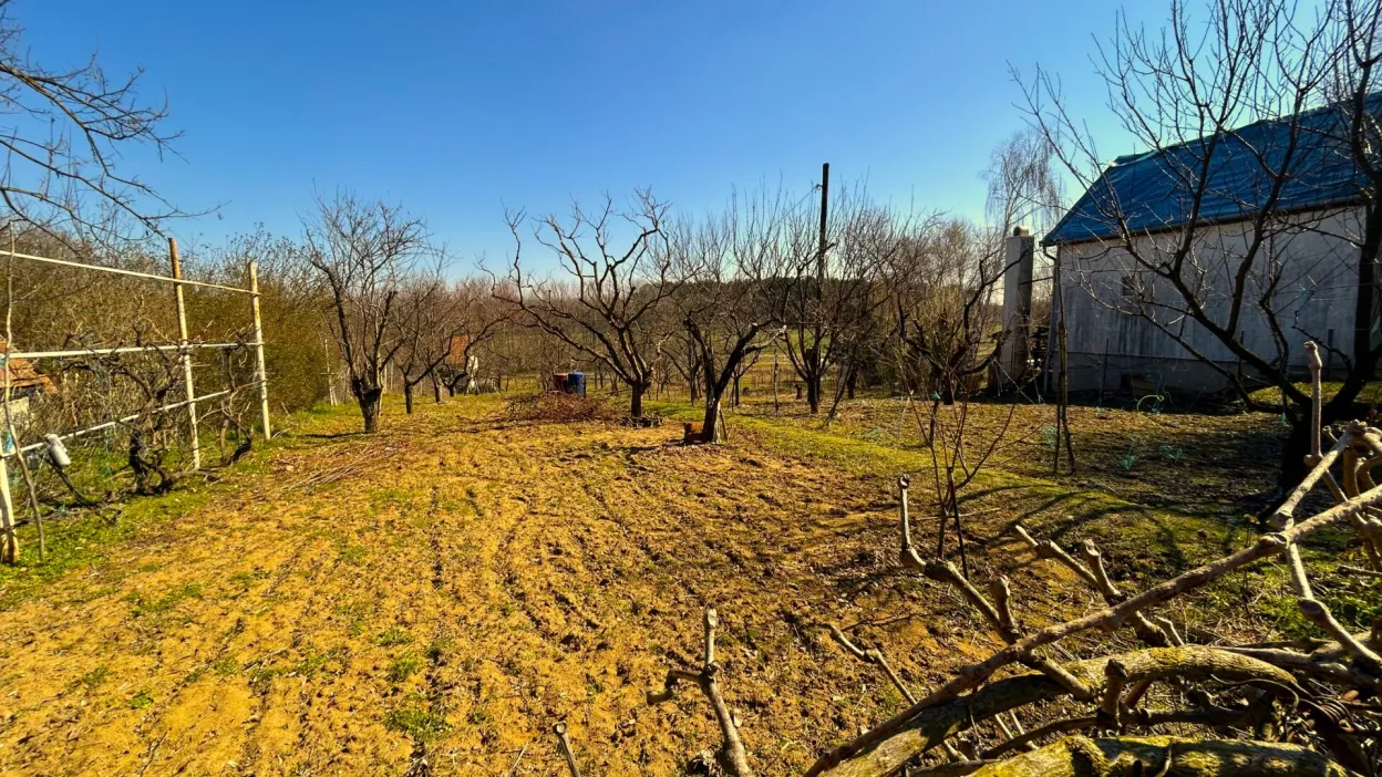 Telek Nyírpazony-Liszkai zártkertben 7. kép