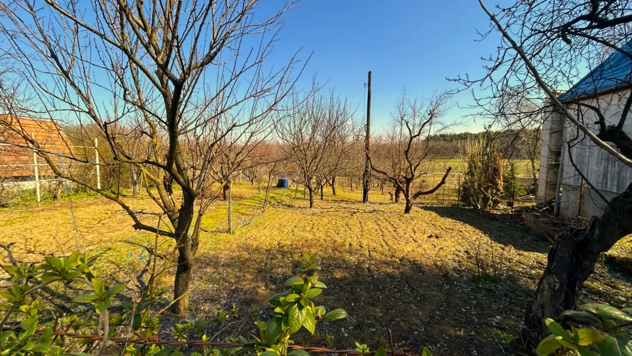 Telek Nyírpazony-Liszkai zártkertben 8. kép