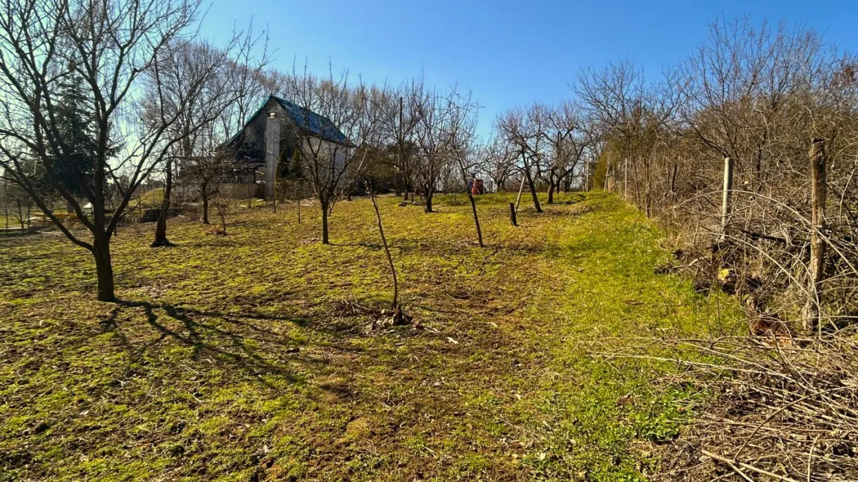 Telek Nyírpazony-Liszkai zártkertben 9. kép